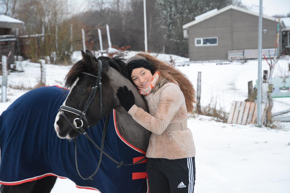 Anden særlig race Silver - Ikke engang gået et halvt år - sket så meget :)) billede 14