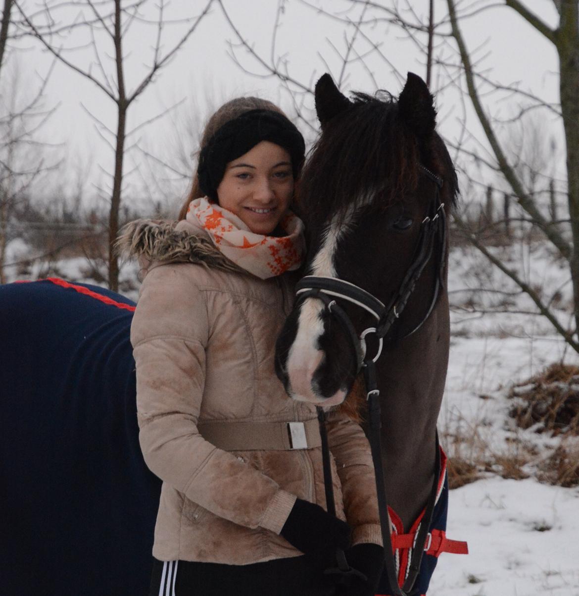 Anden særlig race Silver - Elsker dig sq pony <3 billede 15