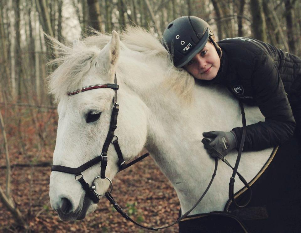 Anden særlig race Silver Shy billede 1