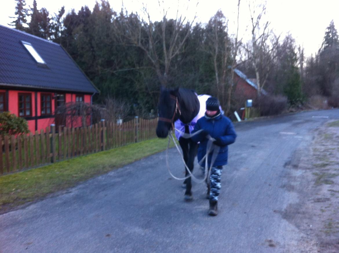 Anden særlig race I Piratus billede 12