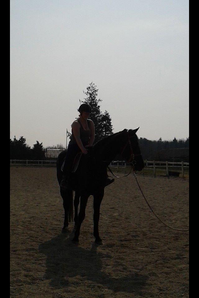 Anden særlig race I Piratus billede 17