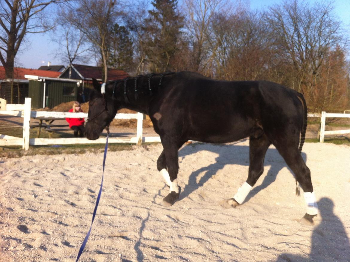 Anden særlig race I Piratus billede 16