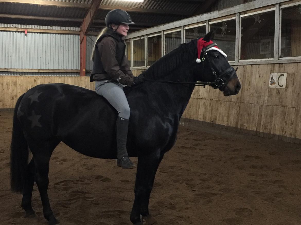 Oldenborg Brandsmarks dina billede 2