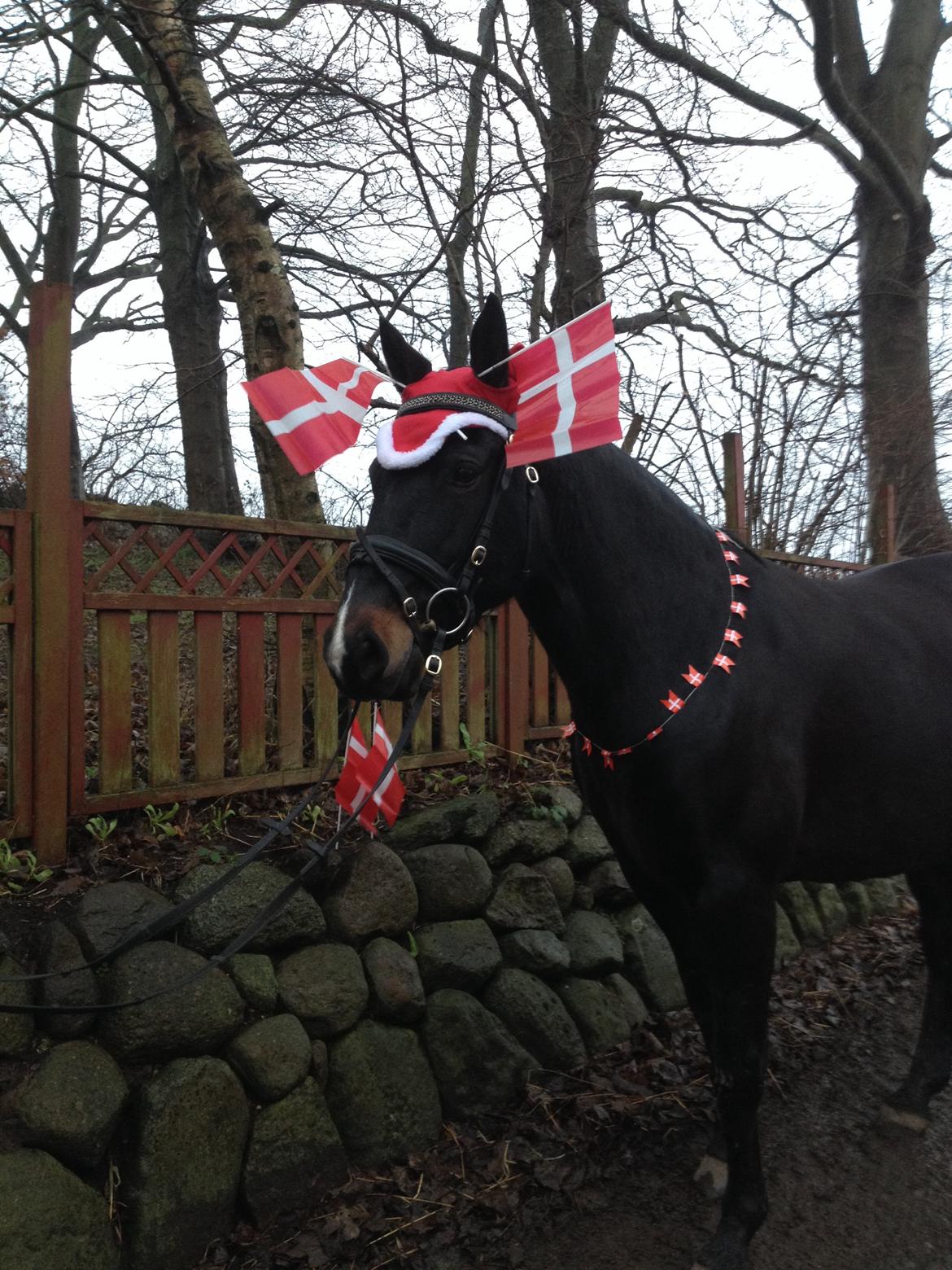 Oldenborg Brandsmarks dina billede 3