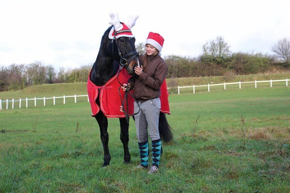 Oldenborg Brandsmarks dina billede 4