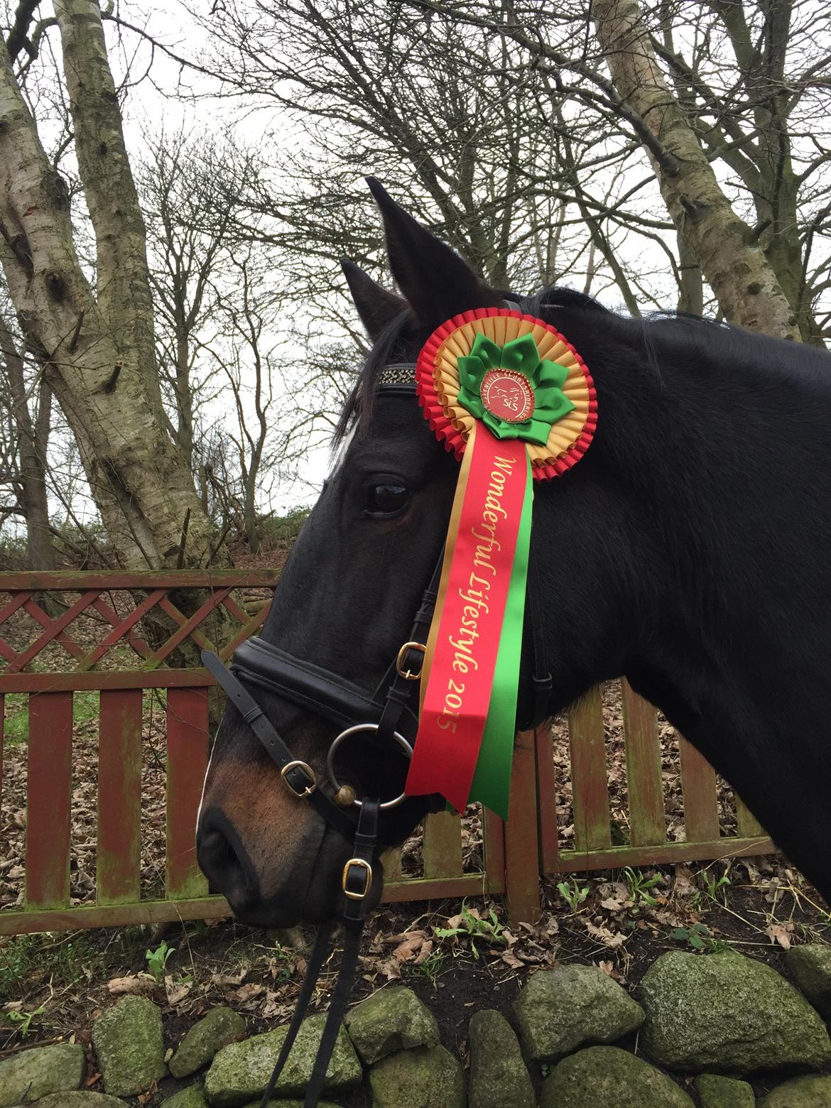 Oldenborg Brandsmarks dina billede 5