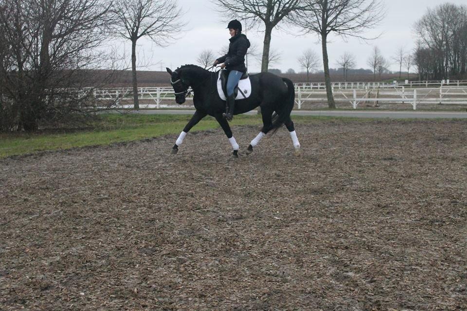 Oldenborg Florencia billede 9