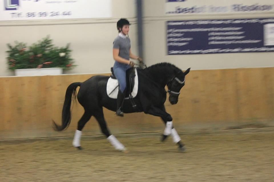 Oldenborg Florencia billede 5