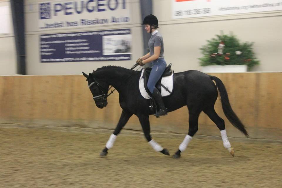 Oldenborg Florencia billede 12