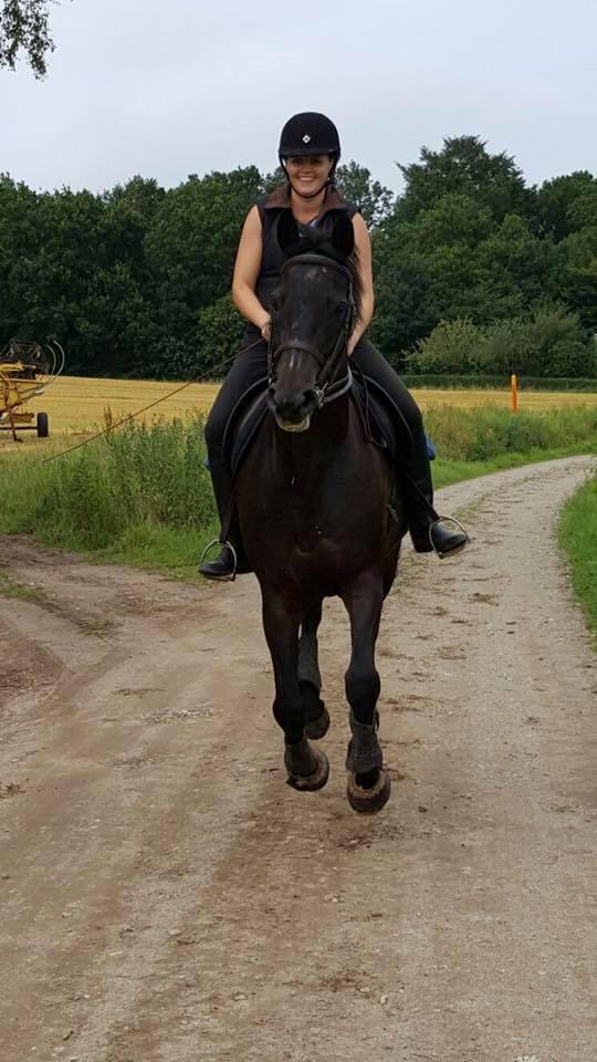 Dansk Varmblod Lindelygaards Atlantis billede 7