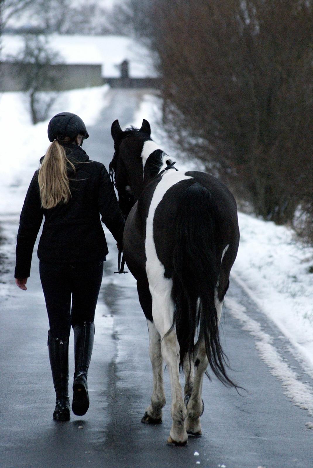 Paint Eskelunds Helga <3  - Sidste eventyr <3  billede 4