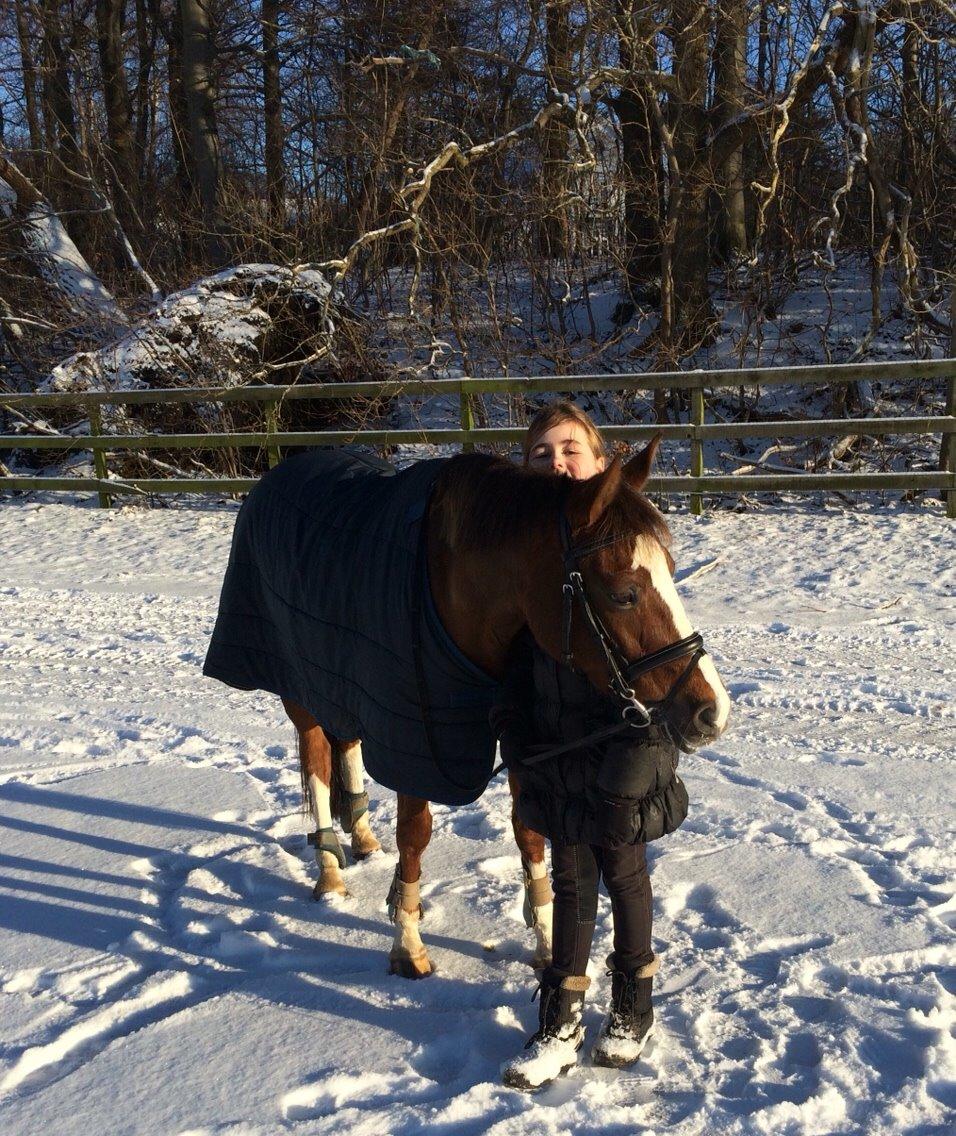 DSP Carla damgård - sne billede billede 12