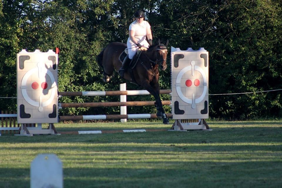 Dansk Varmblod Ocean billede 10