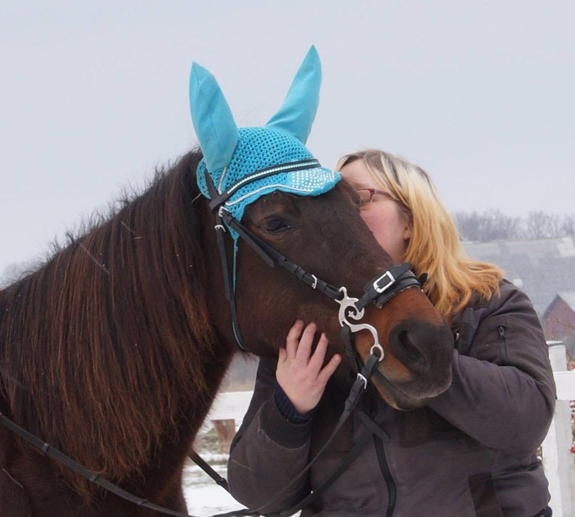 Traver Godiva Pride  billede 1