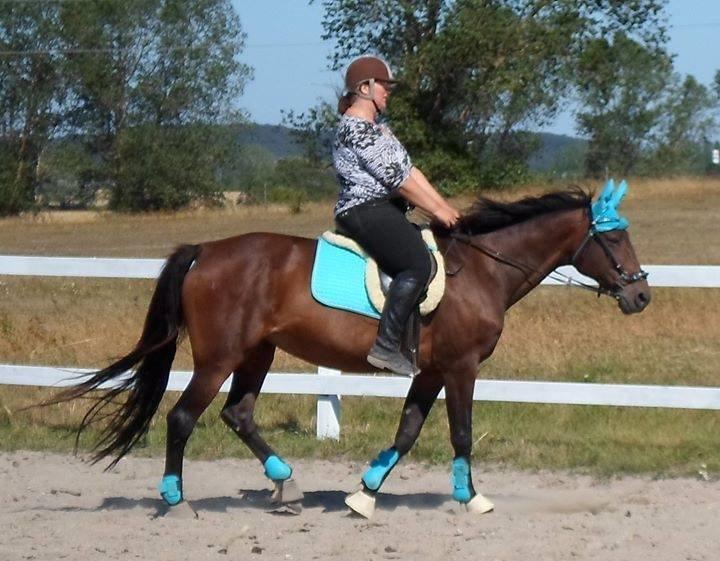 Traver Godiva Pride  billede 12