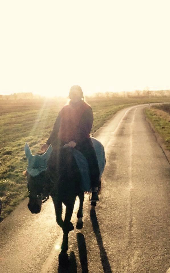 Traver Godiva Pride  billede 15