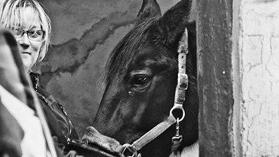 Traver Godiva Pride  billede 2