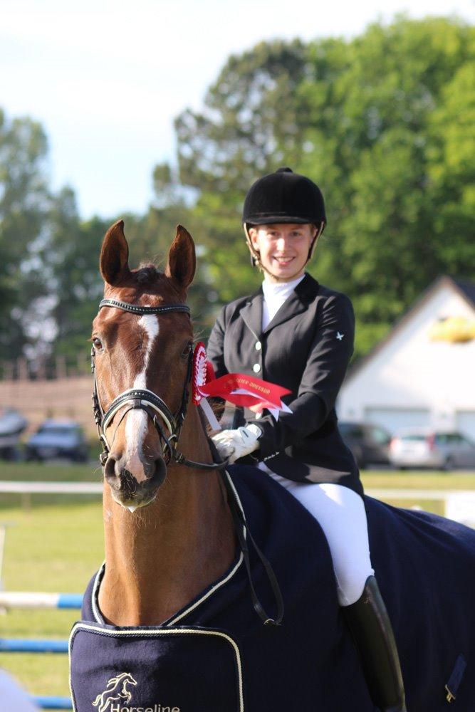 Hollandsk Varmblod Daan - SOLGT ! - Maj 2014, Morsø, Vinder af young rider mesterskab efter blot 10 måneders ridning! <3 billede 16