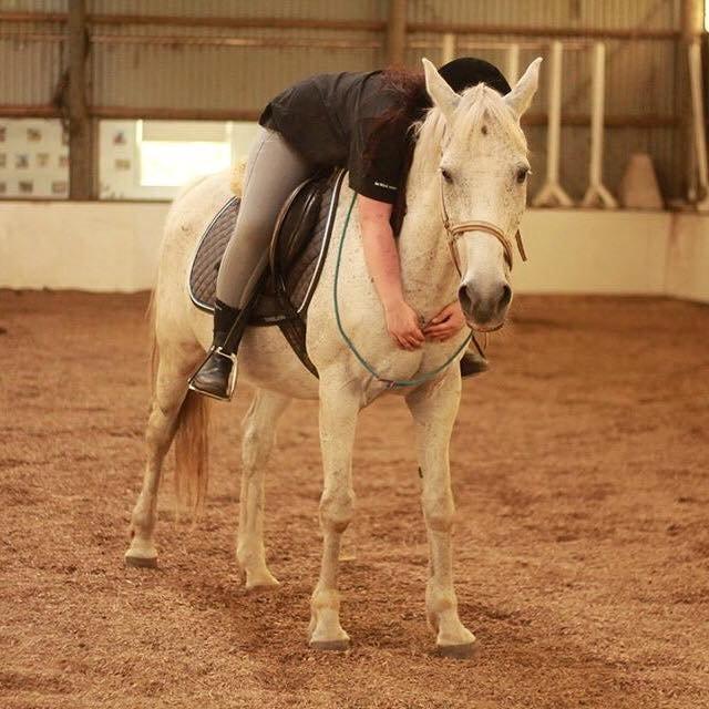 Anden særlig race Bamse billede 9