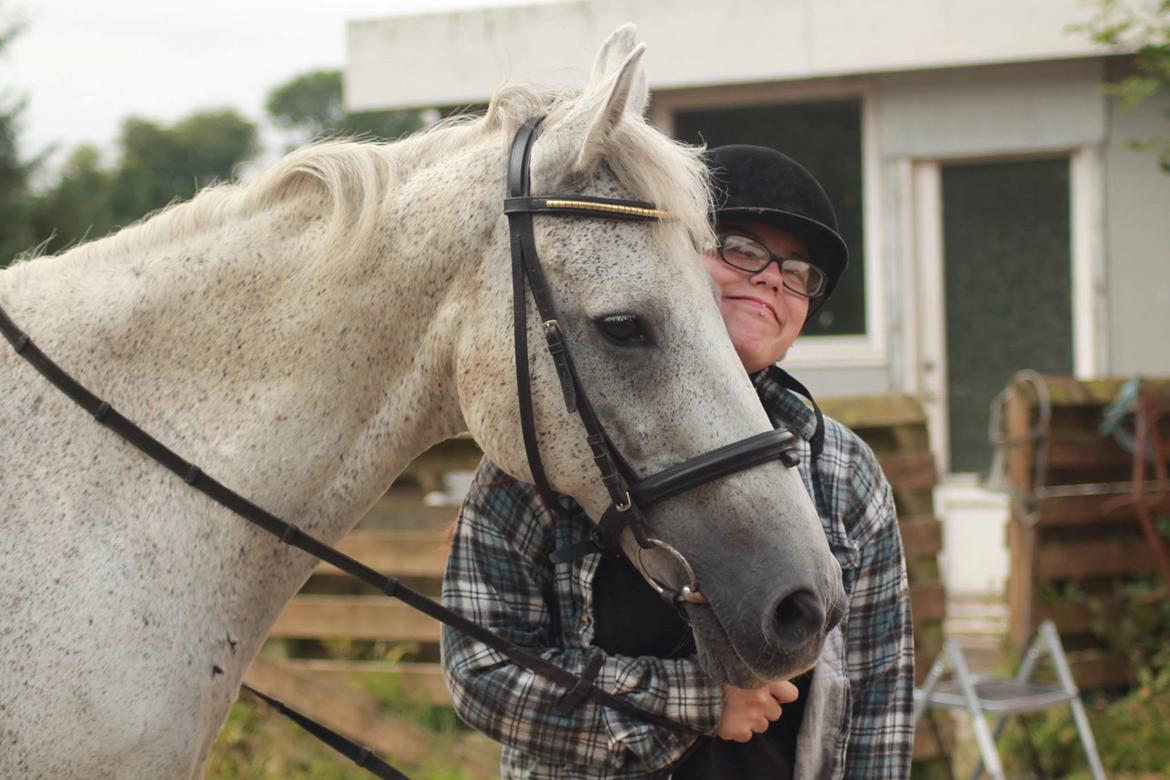 Anden særlig race Bamse billede 5