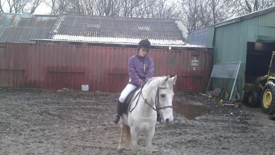 Anden særlig race Bamse - mig og bamse i år 09/10 tror jeg billede 15