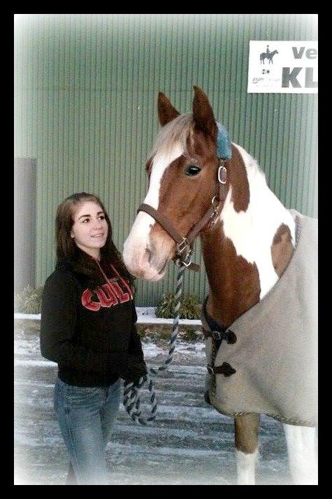 Pinto Amazing Apache billede 13