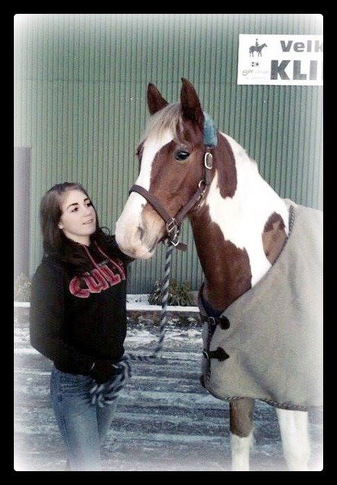 Pinto Amazing Apache billede 15