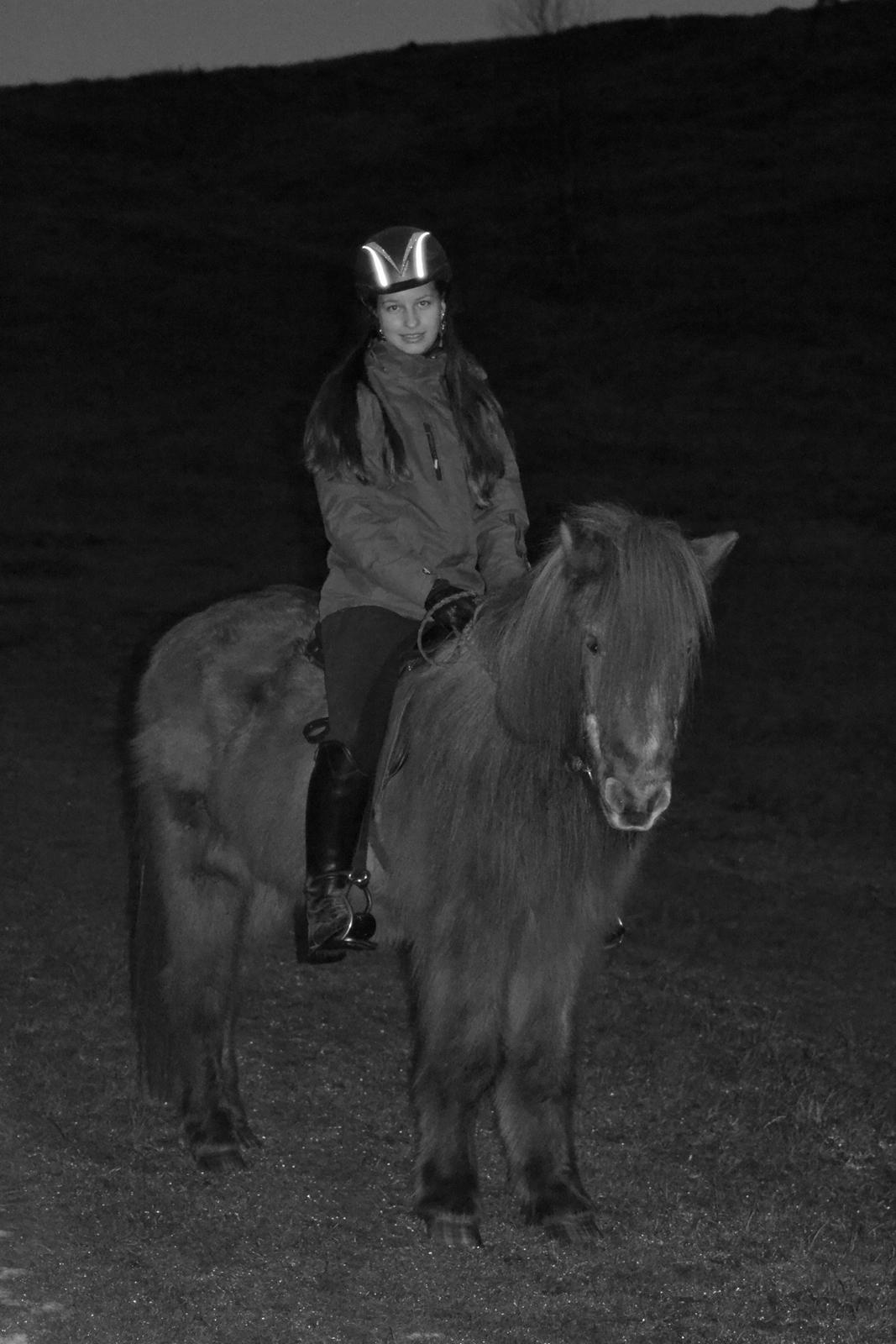 Islænder Loki - Sidste tur på Loki - 18. januar 2016 billede 12