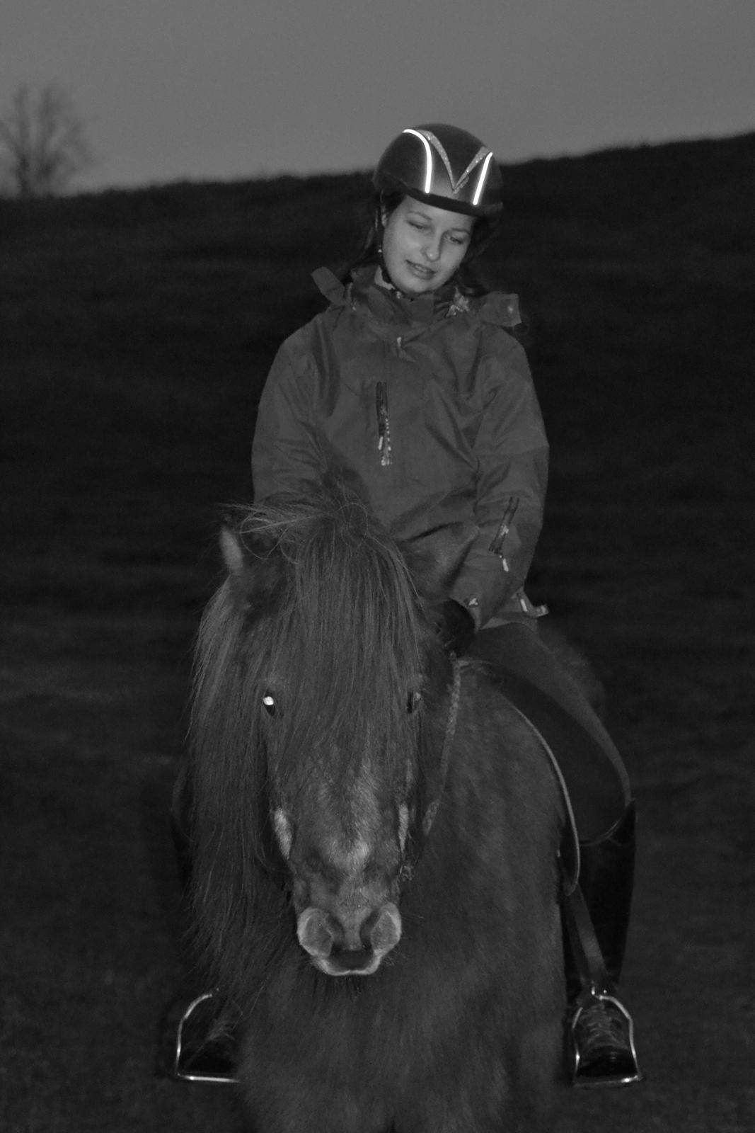 Islænder Loki - Sidste tur på Loki - 18. januar 2016 billede 3