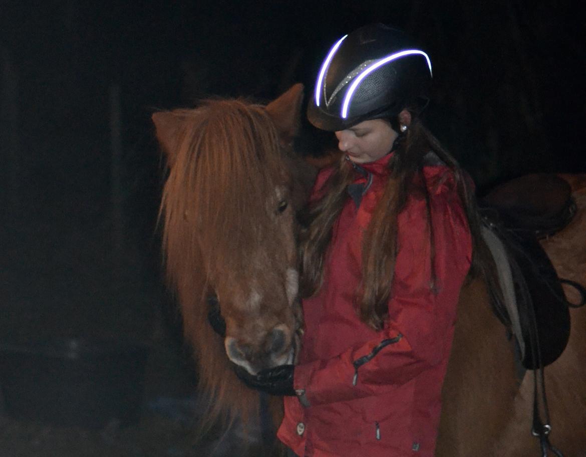 Islænder Loki - Sidste tur på Loki - 18. januar 2016 billede 14