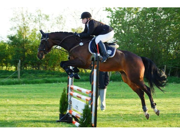 {{currentPhoto.altText}} billede {{currentPhoto.number}}