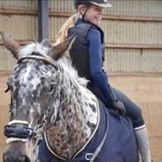 Knabstrupper Lammegårdens Pilar 