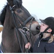 New Forest Birkilds Tara