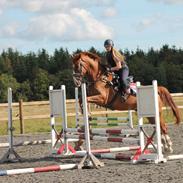 Anden særlig race Charlatan