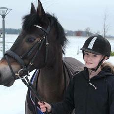 New Forest Birkilds Tara