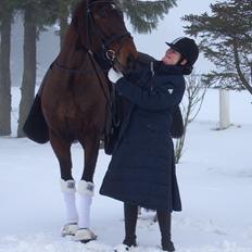 Anden særlig race Vilsbæk Flicka (Himmelhest)