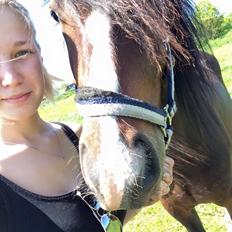 Anden særlig race Kessler