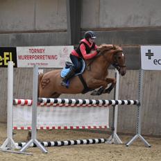 Anden særlig race Marco Polo<3