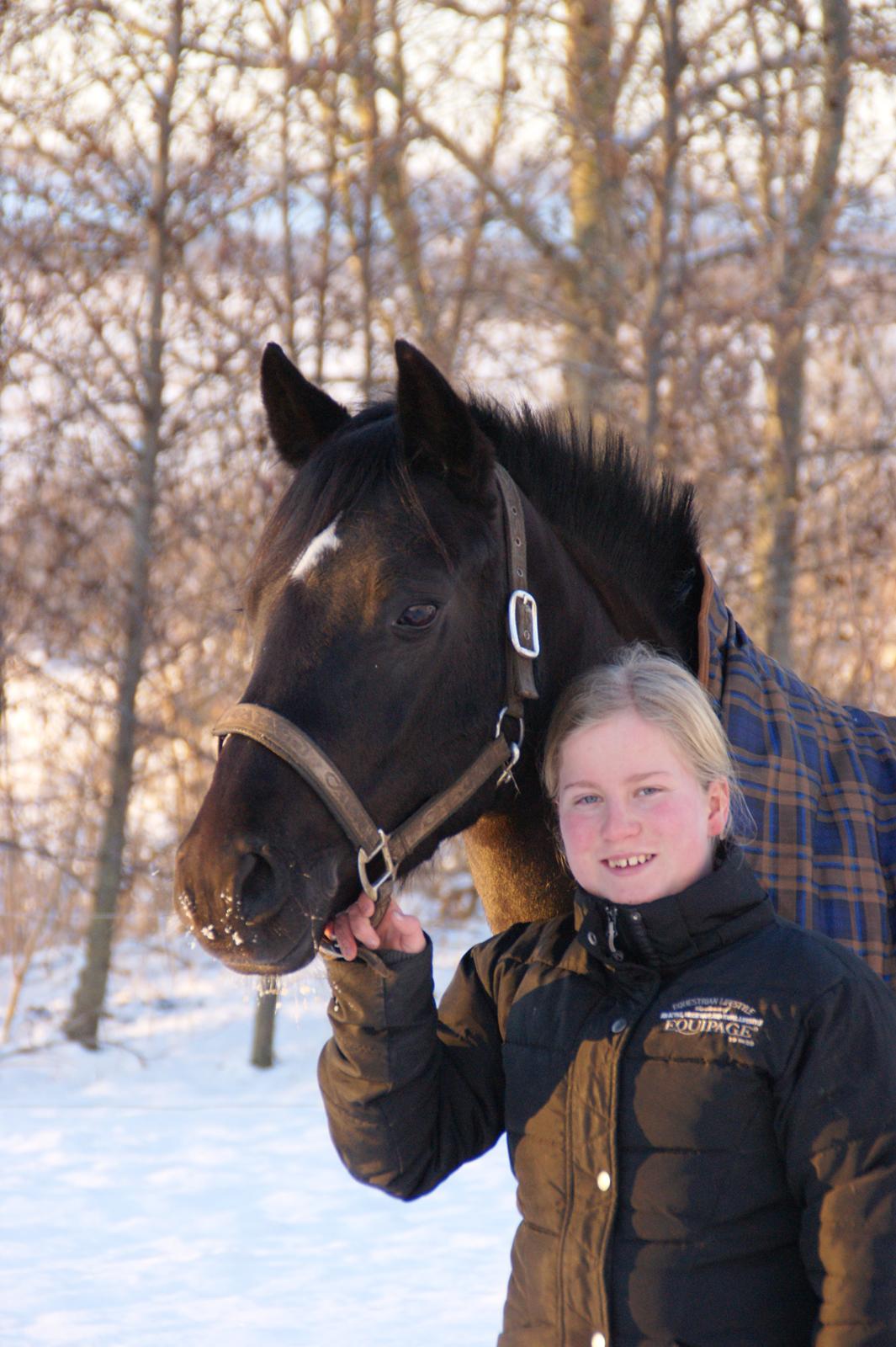 New Forest Vognmandgårdens To Night - A Pony - Vinter 17.01.2016 billede 4