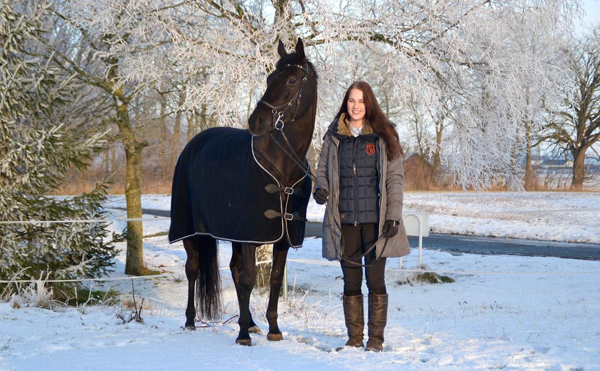 Trakehner EGATTA - Min skønne psykohest <3 Foto: Mor billede 9