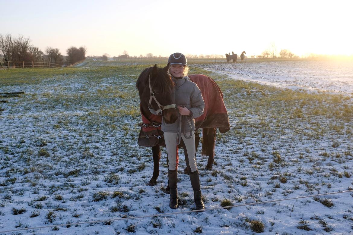 DSP Festina's Chevi *bestie* - Første gang da jeg var ovre og skulle se ham<333 billede 11