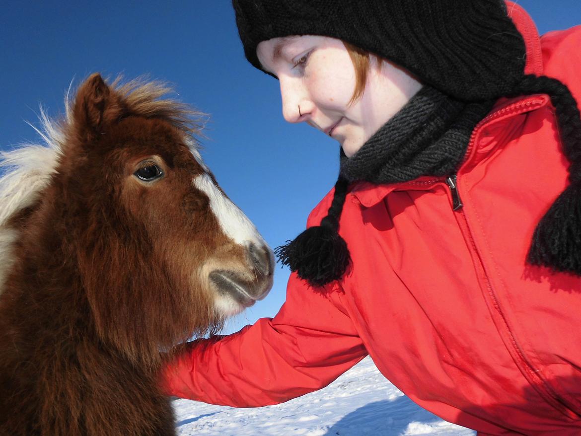 Shetlænder Tot (Følse) - Følse og mig :) billede 13