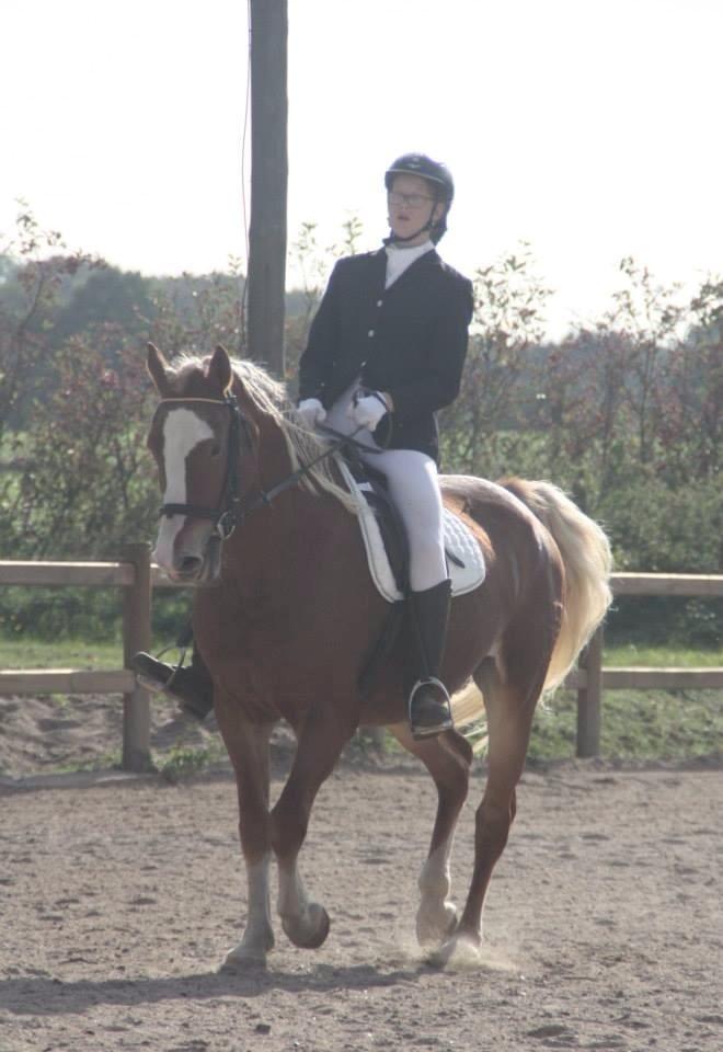 Frederiksborg Skovvanggårdens Bunnie billede 3