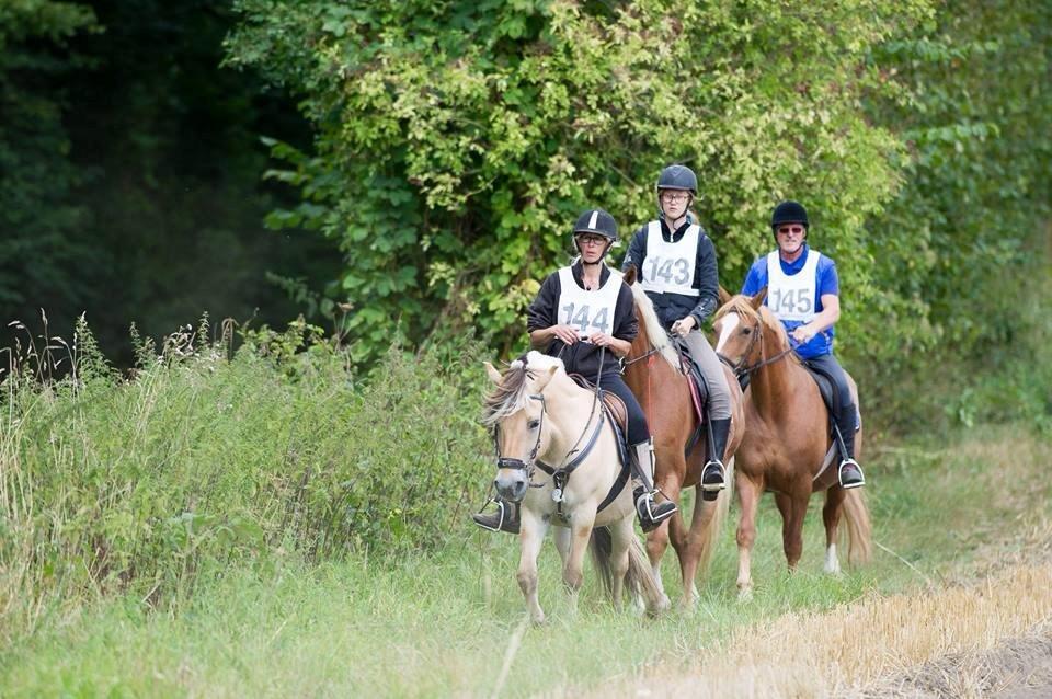 Frederiksborg Skovvanggårdens Bunnie billede 14