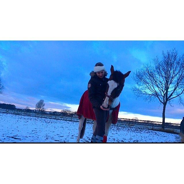 Pinto Rosenlyst's Queen Of Hearts billede 10