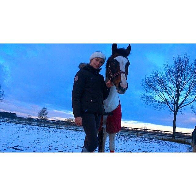 Pinto Rosenlyst's Queen Of Hearts billede 13