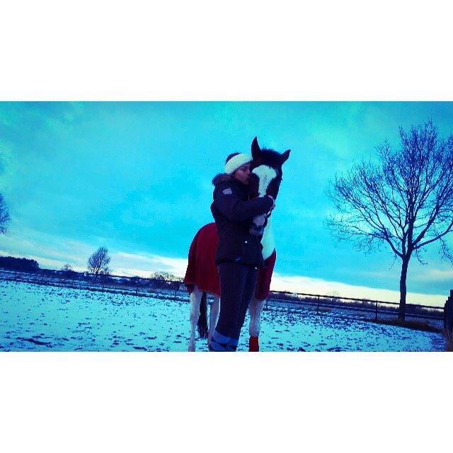 Pinto Rosenlyst's Queen Of Hearts billede 20