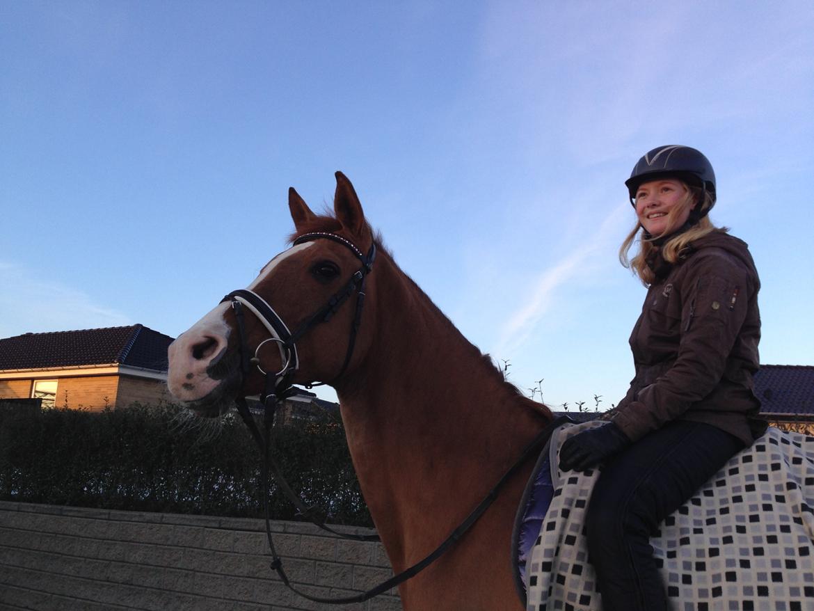 Anden særlig race Nete billede 14