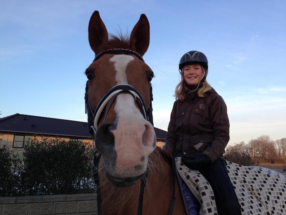 Anden særlig race Nete billede 16