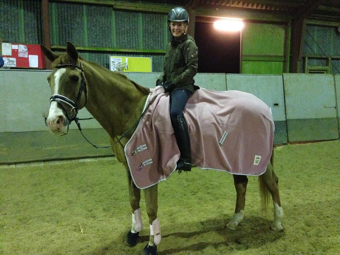 Anden særlig race Nete billede 17